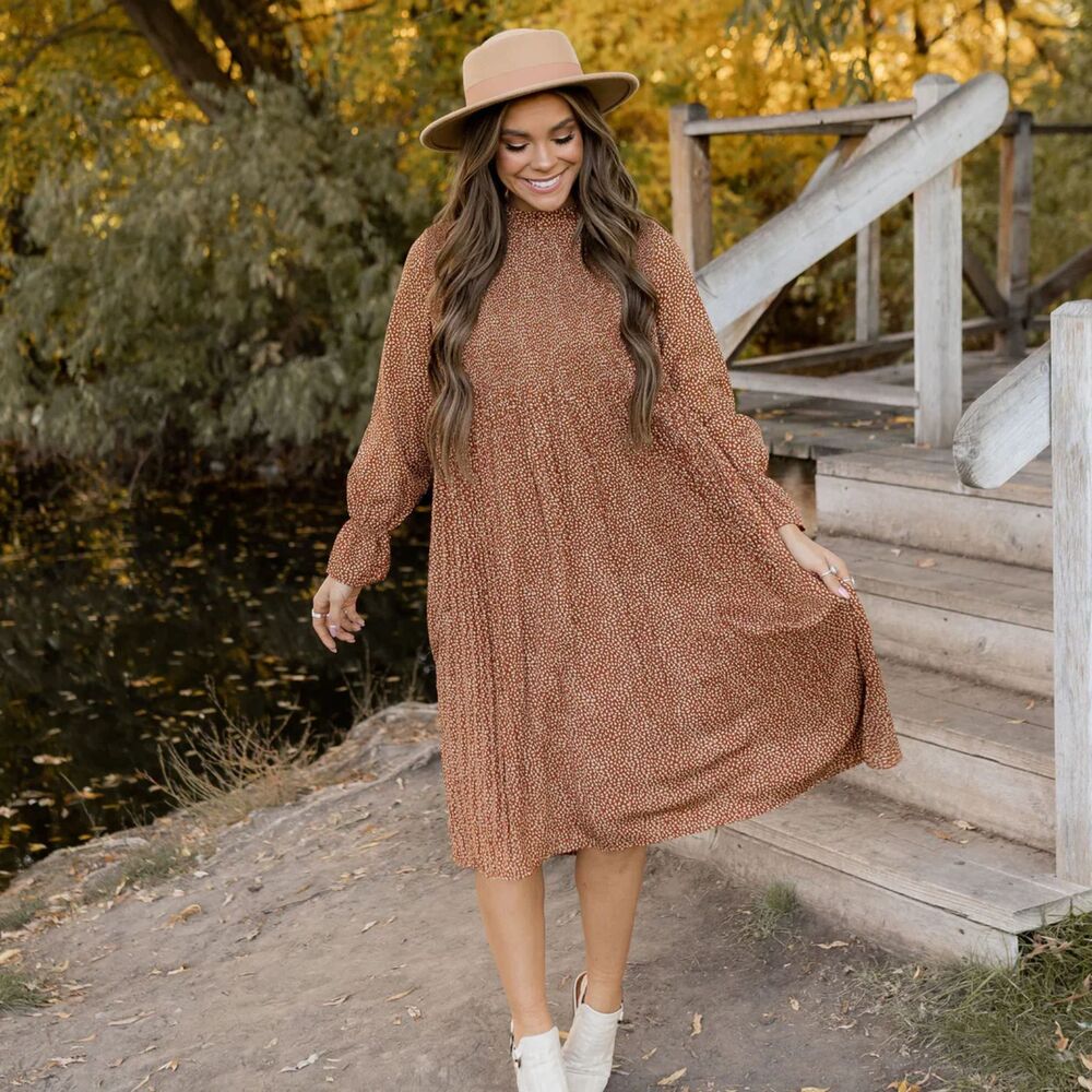 INDIE & CO Rust & Cream Color REMI Midi Dress Sz M